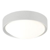Wolsey Ophelia Ceiling Light Chrome/Glass IP44